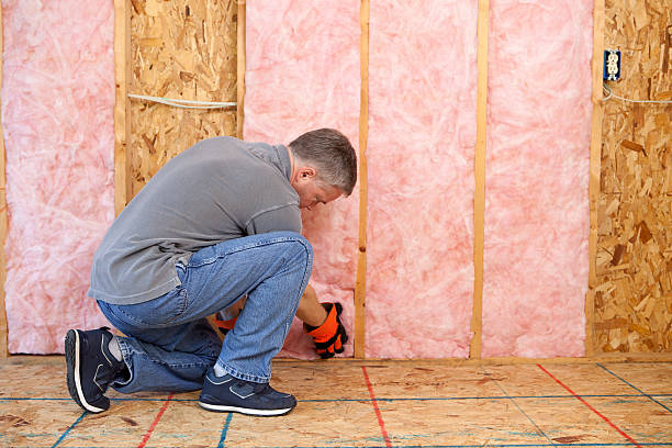 Best Home Insulation Services  in Holiday Heights, NJ