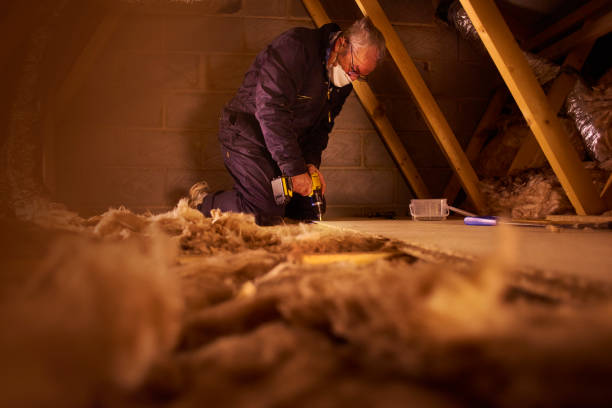 Insulation Contractors for Homes